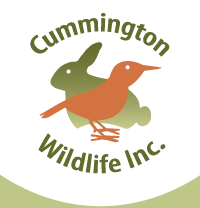 Cummington Wildlife, Inc.